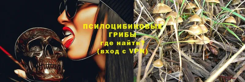 гидра зеркало  Западная Двина  Псилоцибиновые грибы Magic Shrooms 